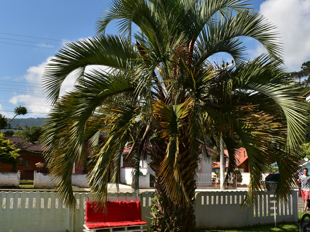 Pousada Vila Dos Butiás主图