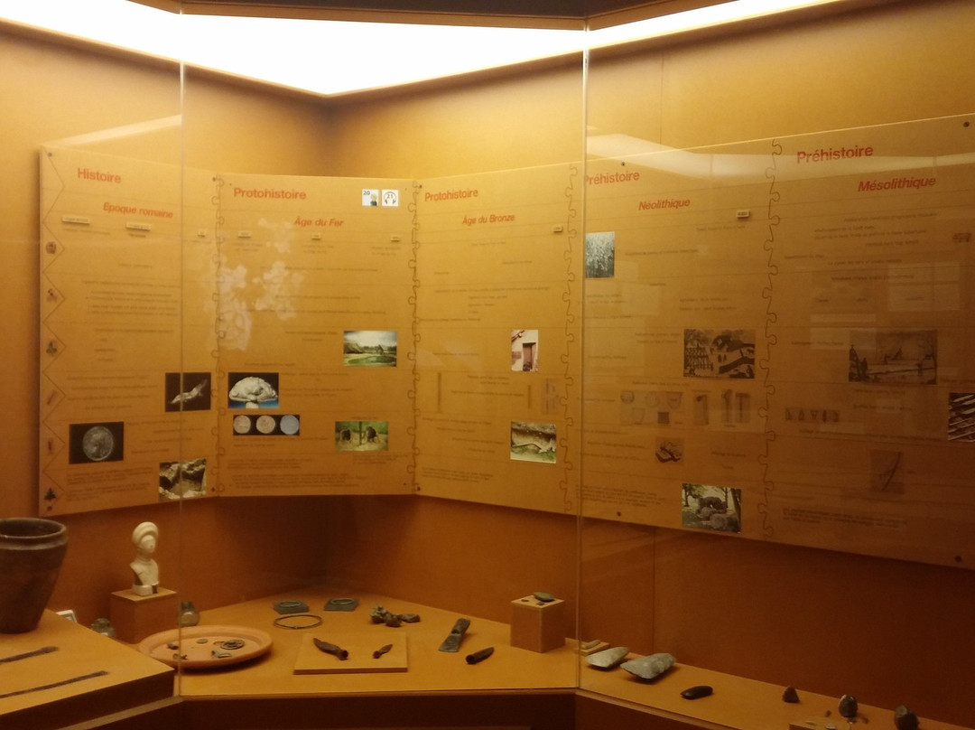 Musée des Celtes景点图片