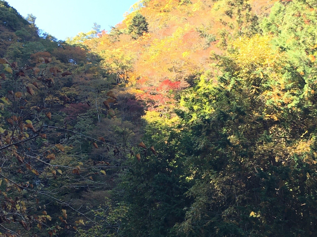 Oyanagawa Promenade景点图片