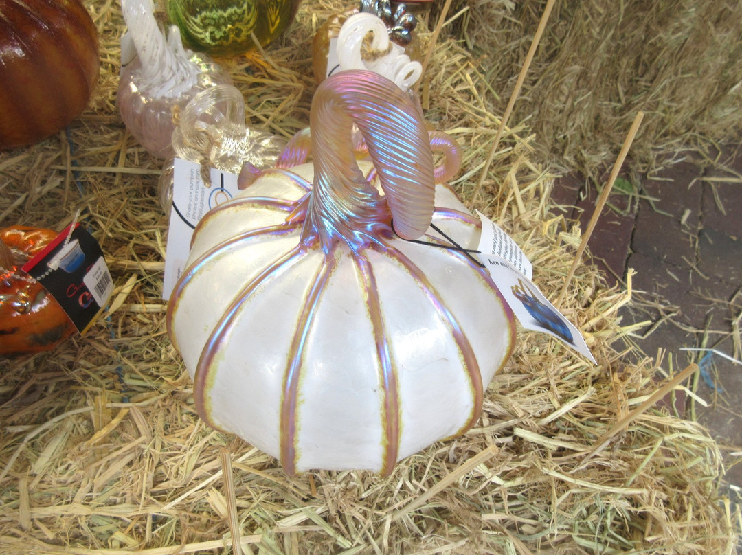 Bay Area Glass Institute-圣何塞必去景点