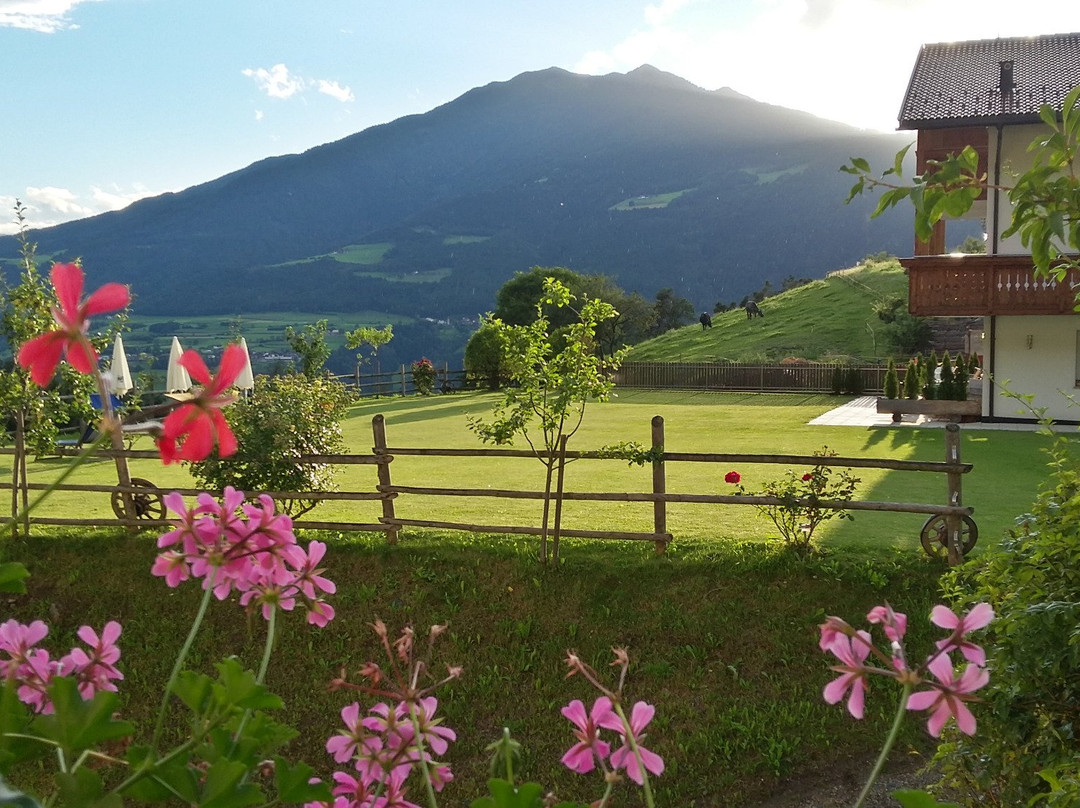 Hotel Mair am Bach主图