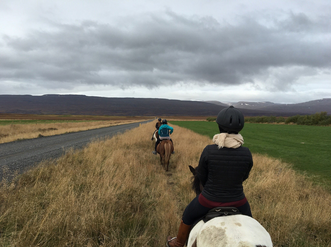 Stori-Bakki Riding Tours-埃伊尔斯塔济必去景点