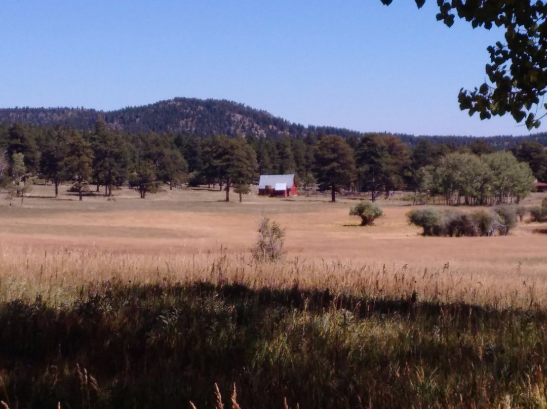 Caribou Ranch Open Space-Nederland必去景点