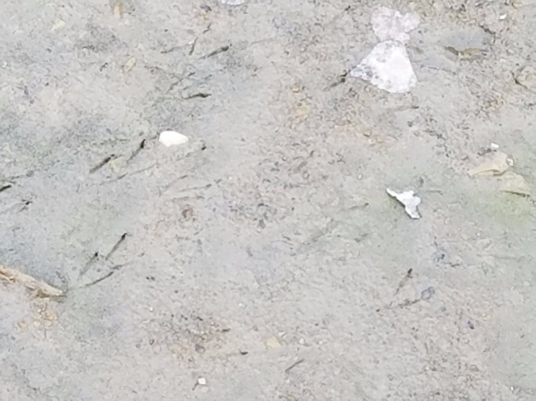 Hoover Mudflats Boardwalk at Hoover Reservoir-Galena必去景点