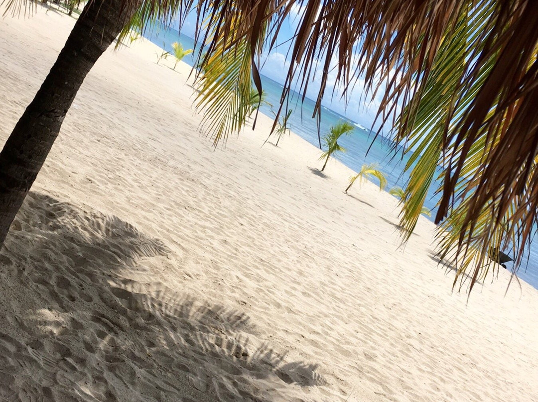 Safe Tours Cozumel-考祖梅必去景点