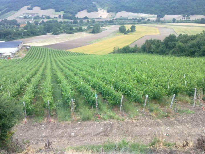 Rossovermiglio-Paduli必去景点