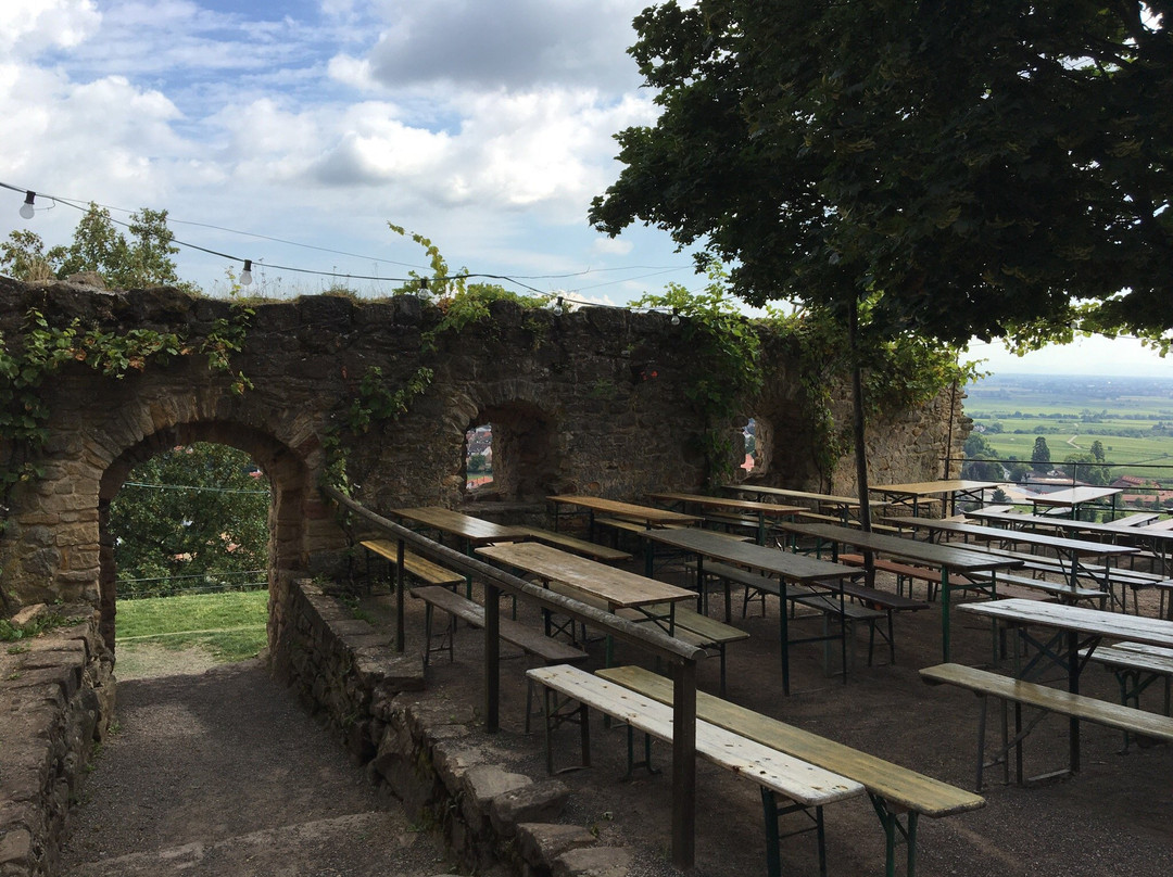 Burgruine Wachtenburg景点图片
