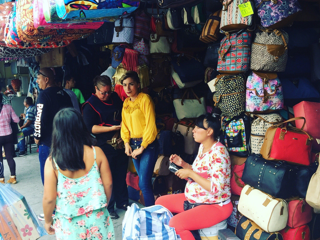 Zona Piel-利昂必去景点