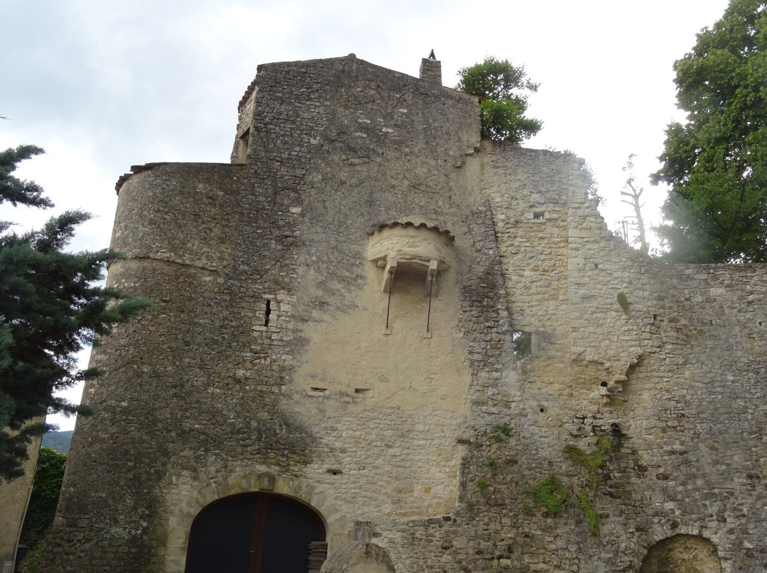 Chateau des Hospitaliers景点图片