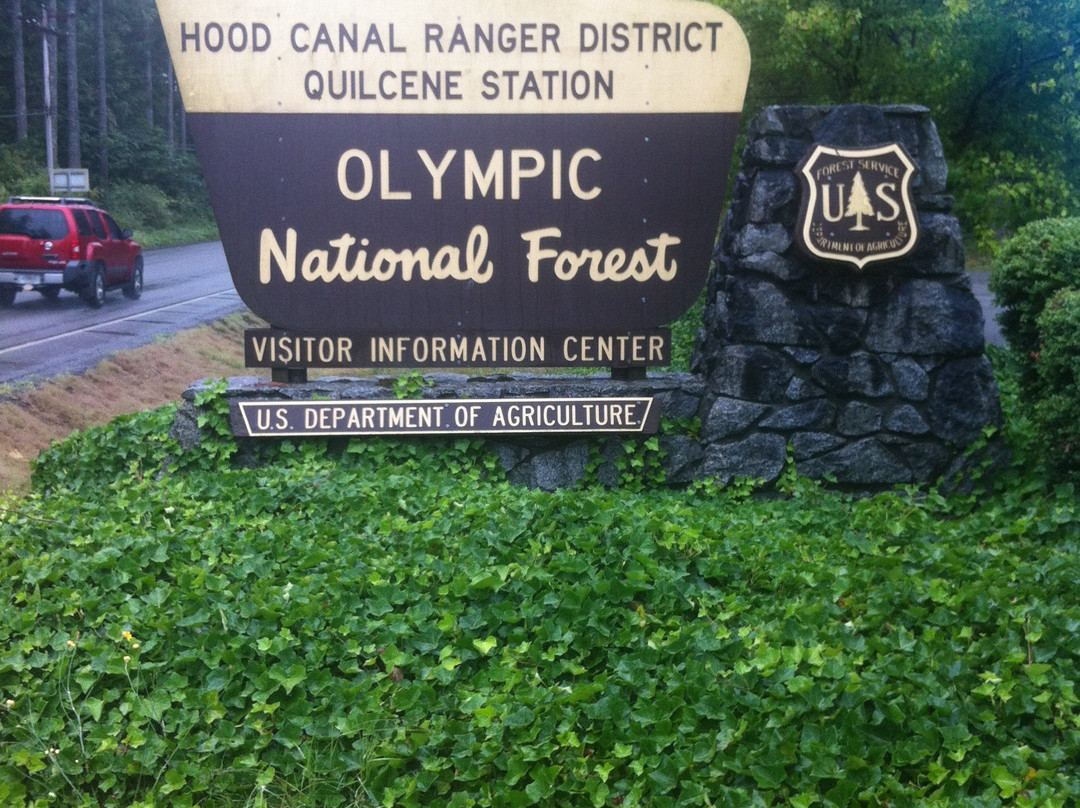 Lower Big Quilcene Trail-奥林匹克国家公园必去景点