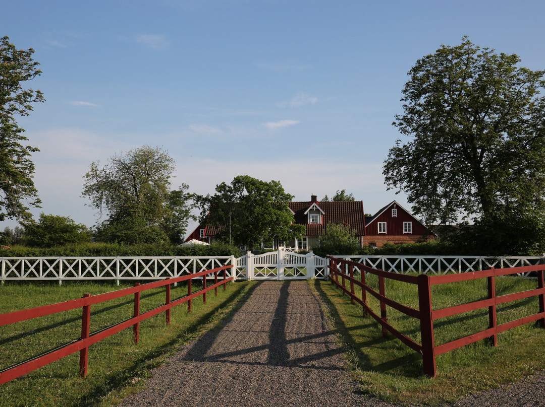 Scandinavian Living