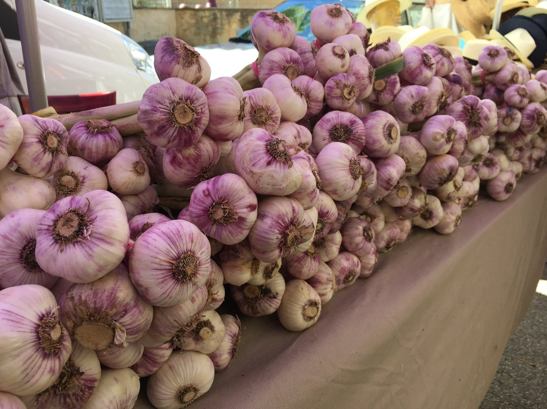 Marche Provencal-Bedoin必去景点