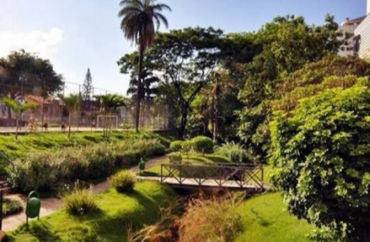 Parque Ecológico do Bairro Caiçara景点图片