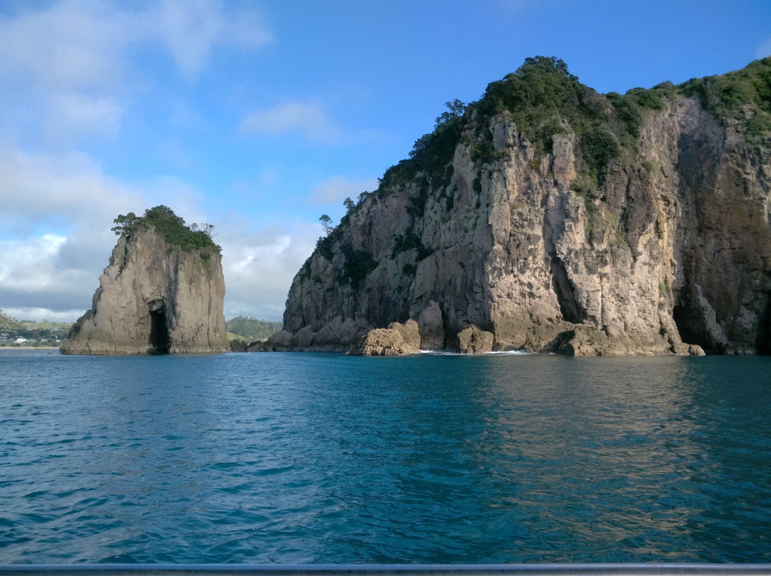 Ocean Leopard - Cathedral Cove Boat Tours-菲蒂昂格必去景点