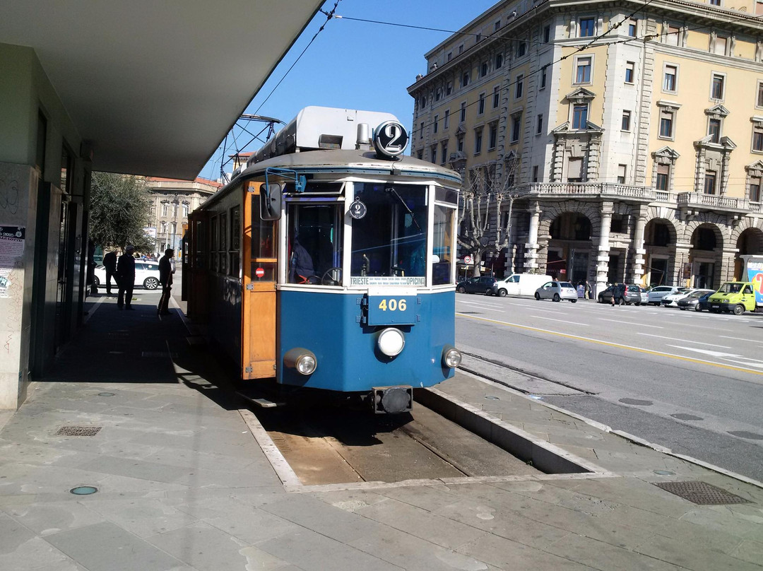 Tram de Opcina景点图片