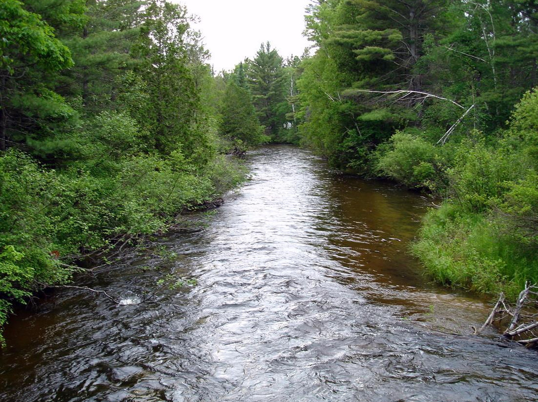 Boardman River-特拉弗斯城必去景点