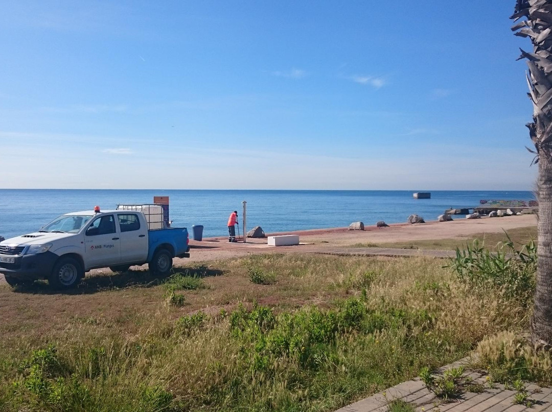 Platja de la Mora景点图片