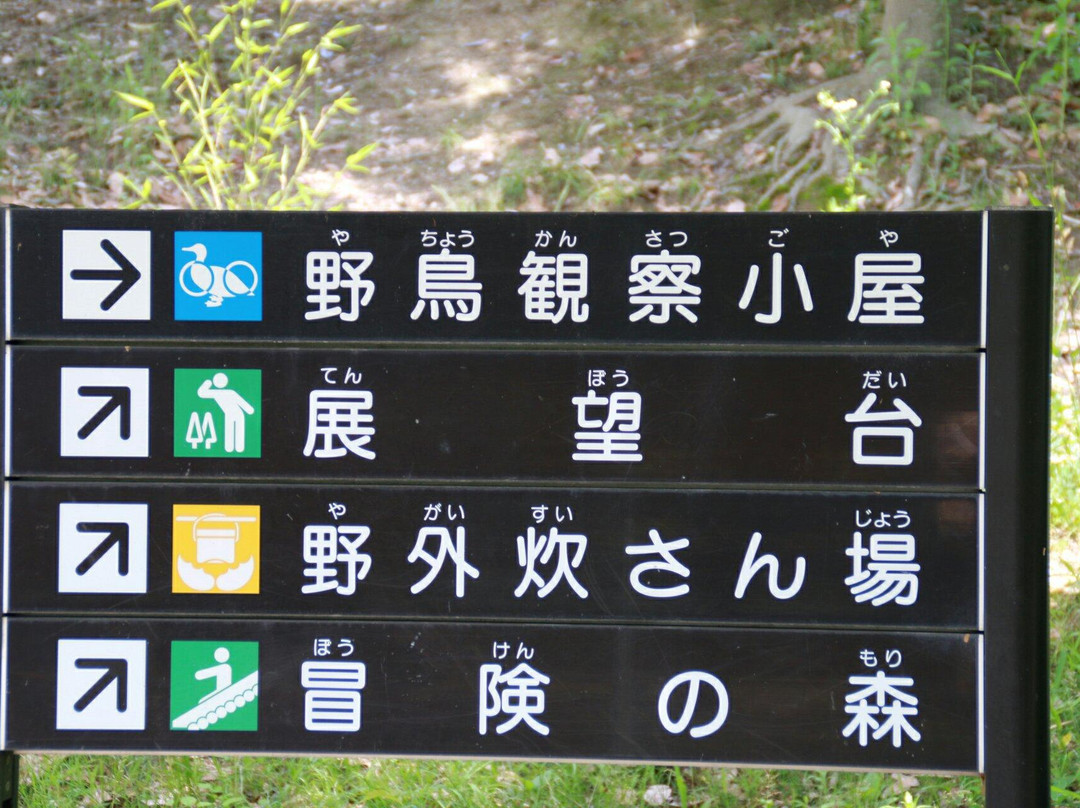 Senri Central Park-丰中市必去景点