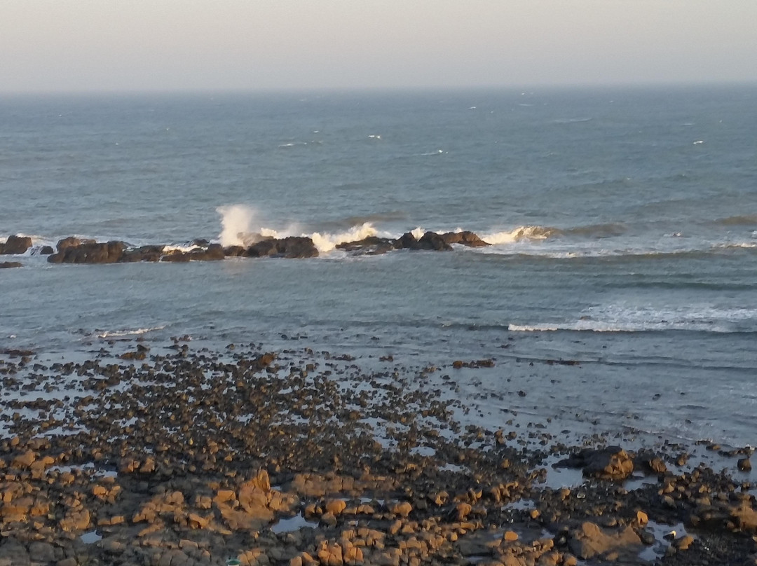 The White House B & B主图