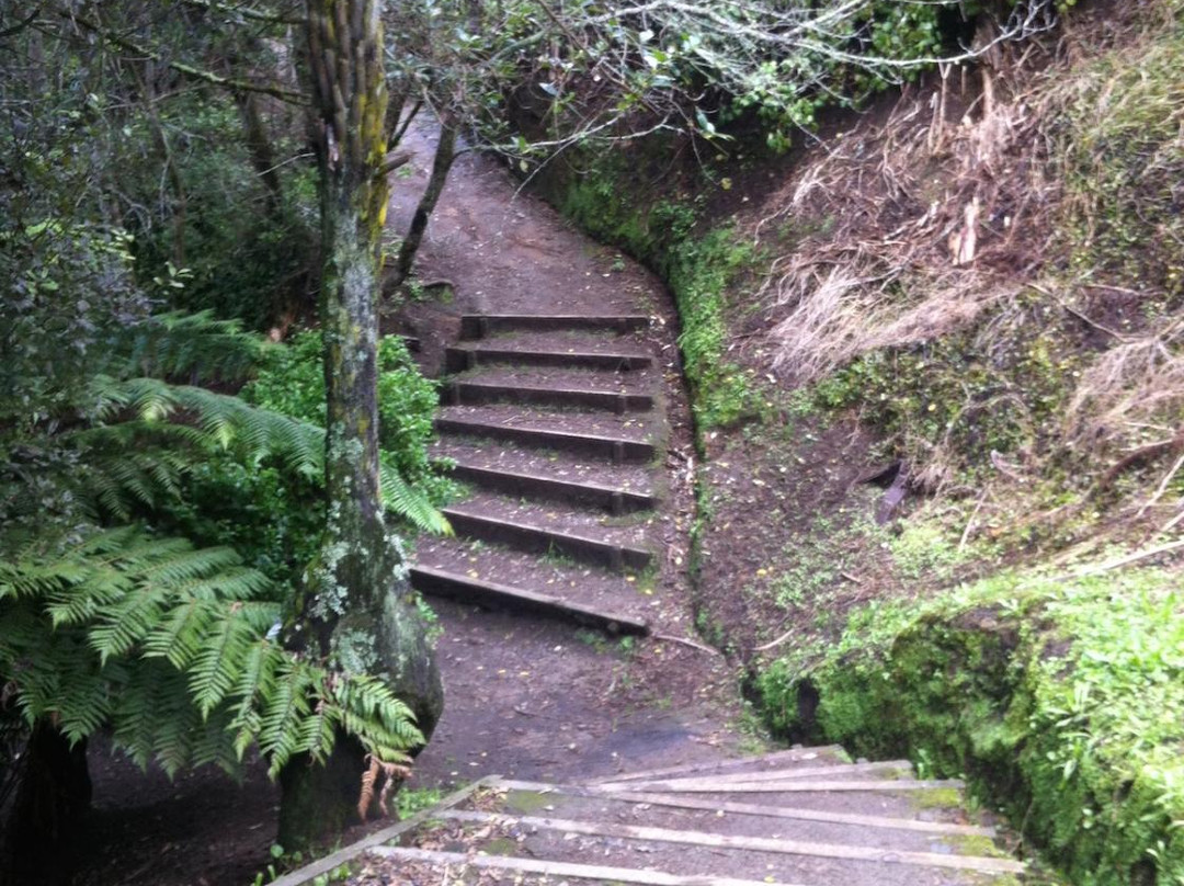 Johnson Reserve-陶兰加必去景点