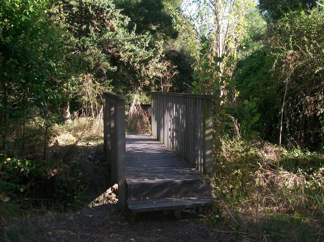 Palmbrook Reserve景点图片