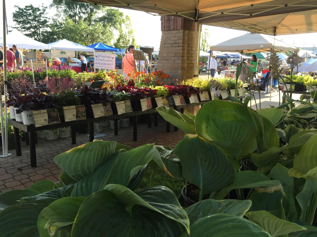 Holland Farmers Market景点图片