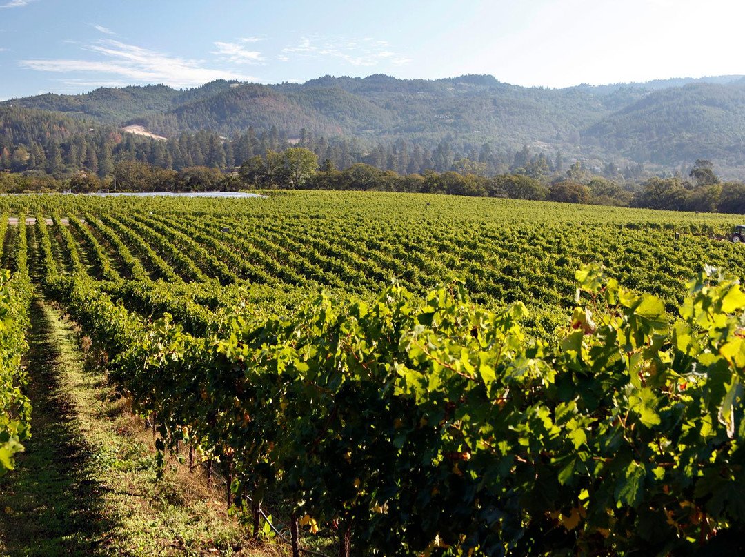 Lasseter Family Winery景点图片