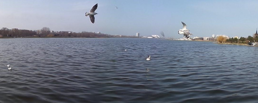 My Constanta-康斯坦萨必去景点