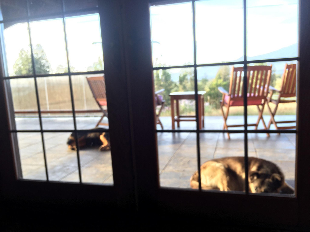 Fox Hill Bed & Breakfast主图