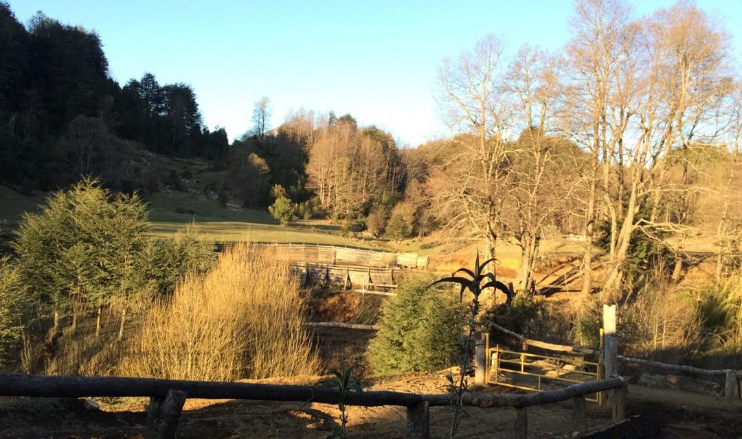 Huepil Malal-普孔必去景点