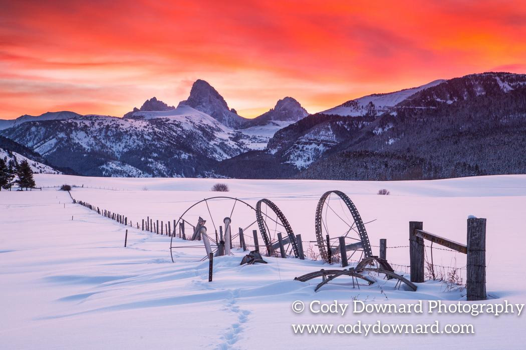 Cody Downard Photography Workshops and Tours-威尔逊必去景点