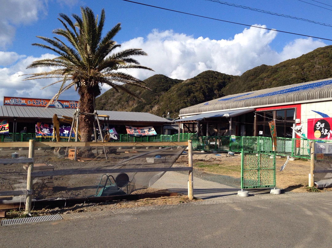 Toromu Michi-no-Eki-室户市必去景点