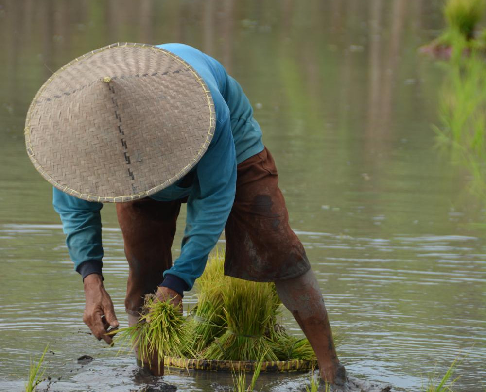 Guide Francophone a Bali-登巴萨必去景点