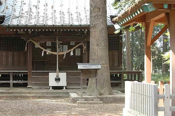 Ikushina Shrine景点图片