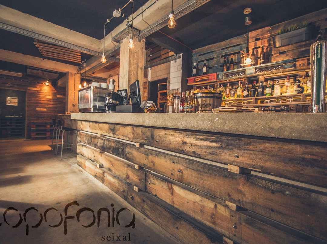 Copofonia