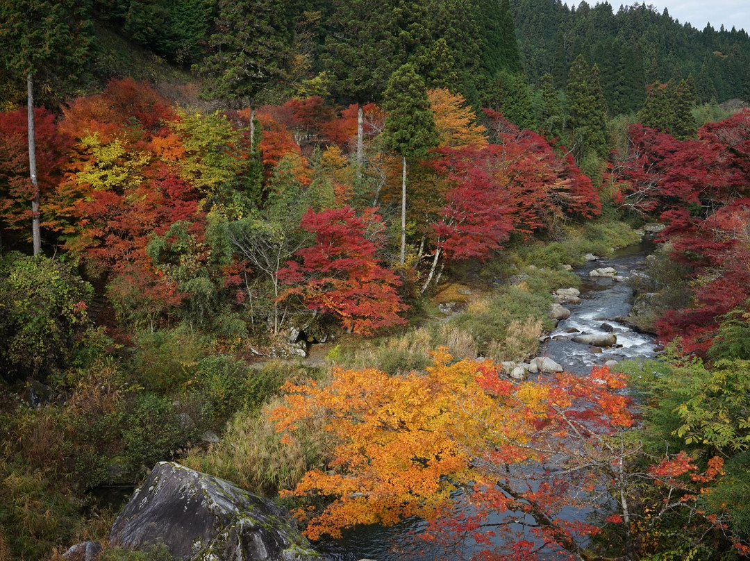 根羽村旅游攻略图片