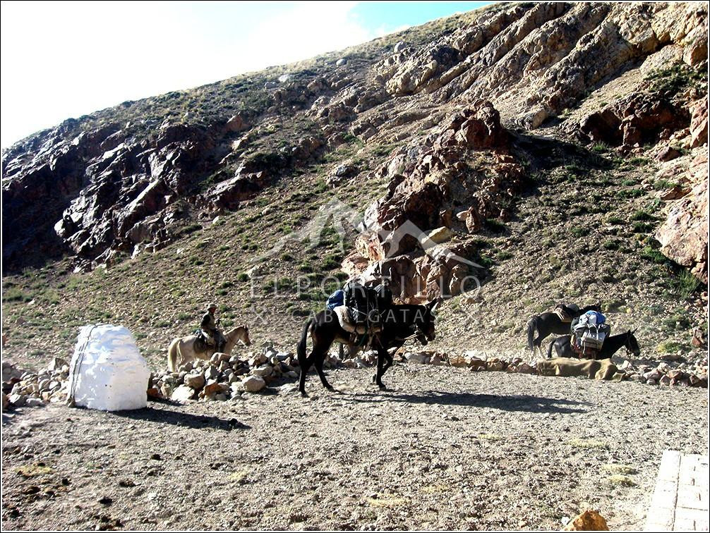 Cabalgatas El Portillo - Day Tours-Los Chacayes必去景点