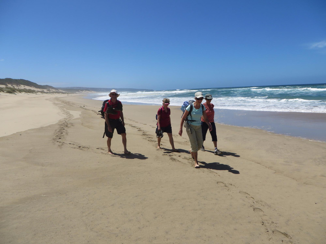 Oystercatcher Trail-莫塞尔贝必去景点