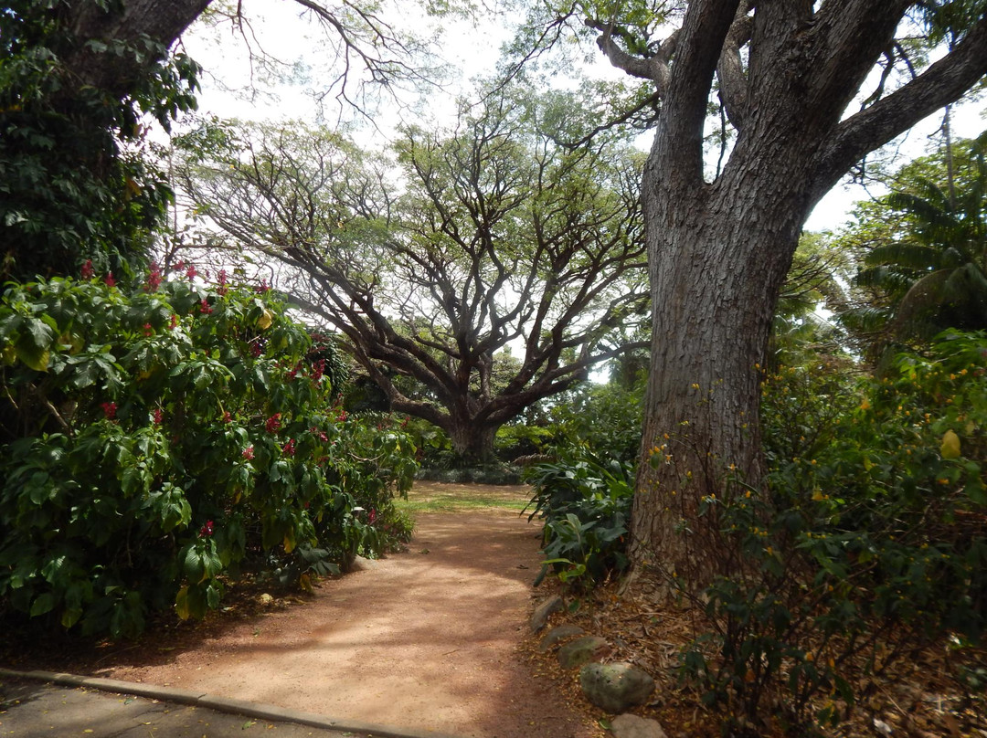 Botanic Gardens-汤斯维尔必去景点