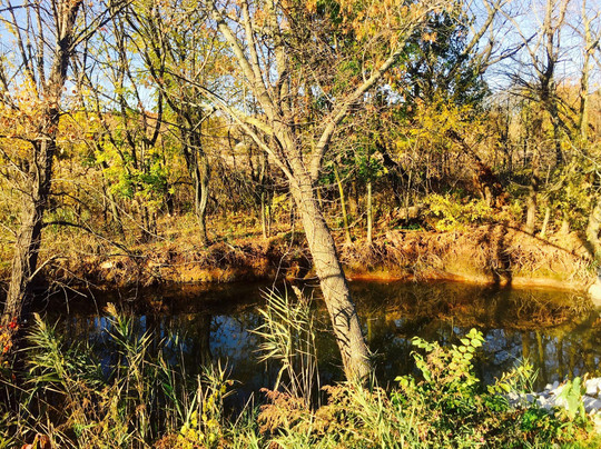 Freshkills Park-斯塔滕岛必去景点