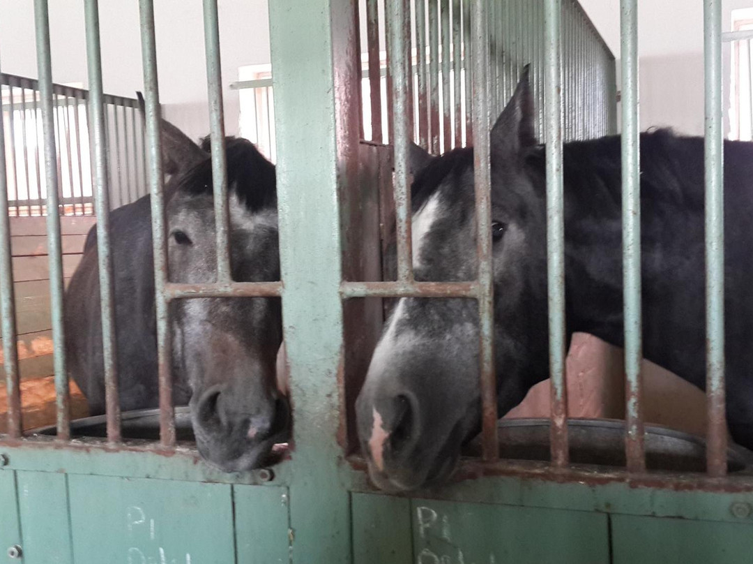 Breeding Farm Brech-Brech必去景点