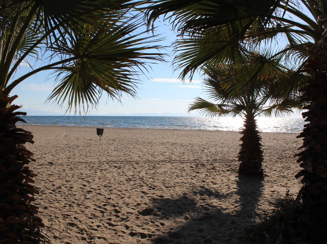 Pamucak Beach-Zeytinkoy必去景点