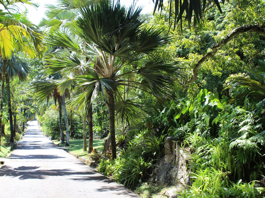 Seychelles National Botanical Gardens景点图片
