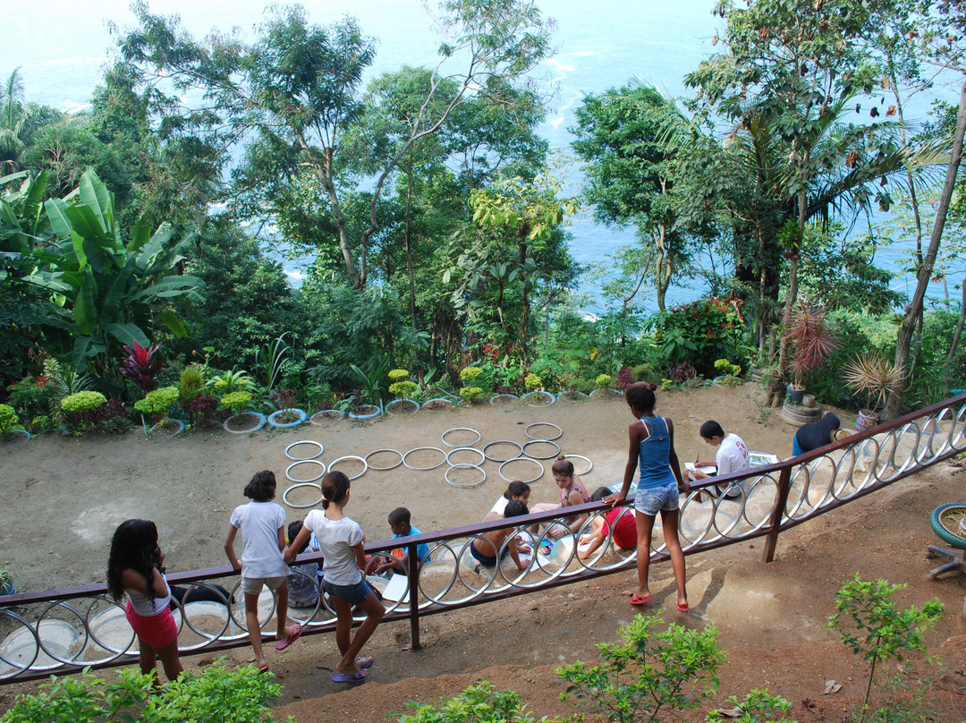 Parque e Instituto Sitiê-里约热内卢必去景点