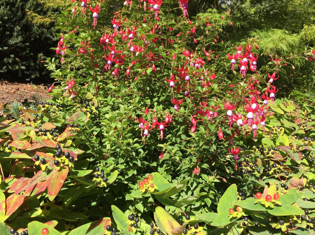 PowellsWood Garden-费德勒尔韦必去景点