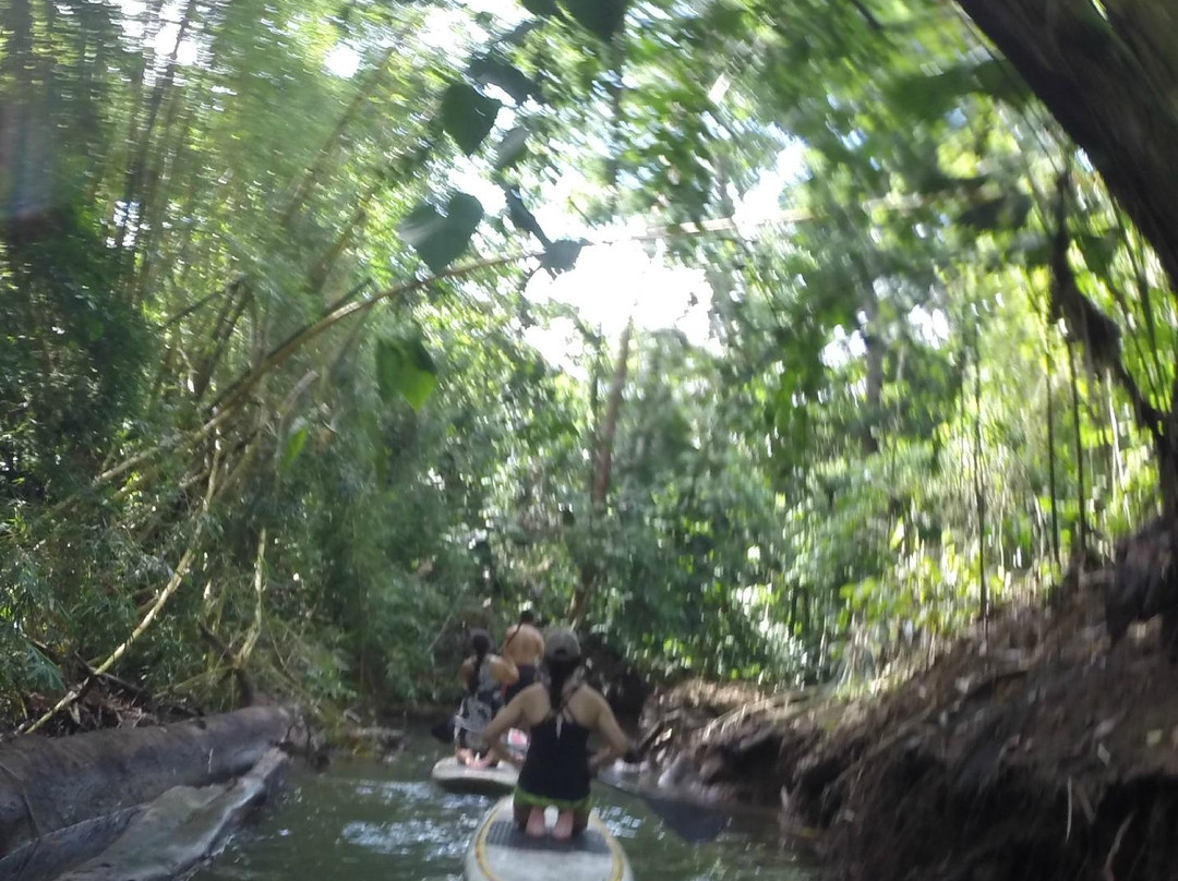 Green Water SUP Tours景点图片