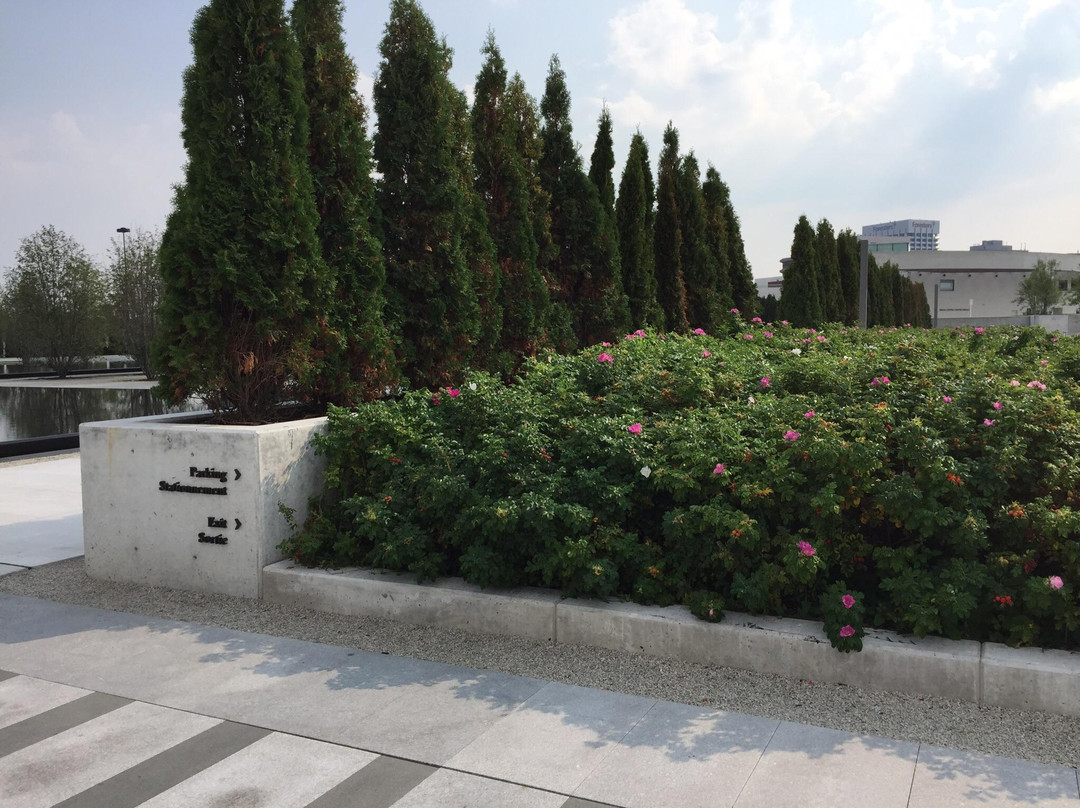 Aga Khan Museum-多伦多必去景点