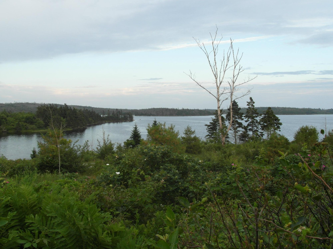 Porters Lake Provincial Park景点图片