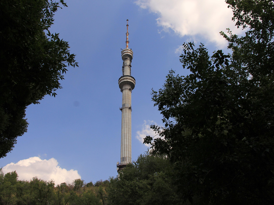 Almaty Television Tower-阿拉木图必去景点