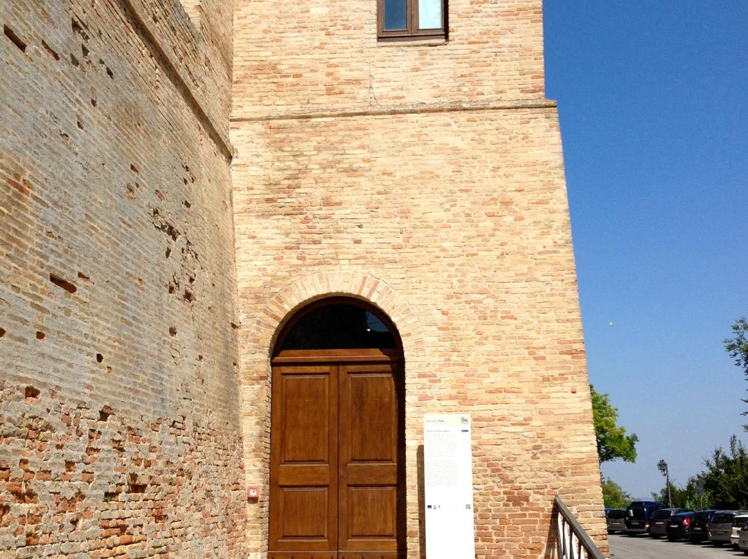 Museo Civico Archeologico景点图片